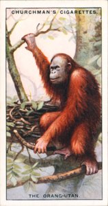  द्वारा अंग्रेजी स्कूल