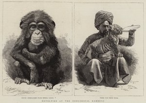 जूलॉजिकल गार्डन में नवीनता (उत्कीर्णन) द्वारा अंग्रेजी स्कूल
