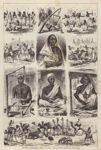 जर्मनी के ड्रेसडेन के जूलॉजिकल गार्डन में न्युबियन (उत्कीर्णन) द्वारा अंग्रेजी स्कूल