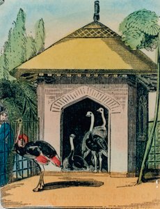 लंदन चिड़ियाघर में शुतुरमुर्ग और एमु घर। 1840 के दशक द्वारा अंग्रेजी स्कूल