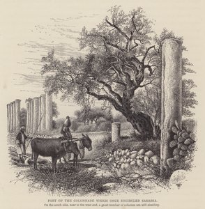 कालनाड का वह भाग जिसने कभी सामरिया को घेरा था (उत्कीर्णन) द्वारा अंग्रेजी स्कूल