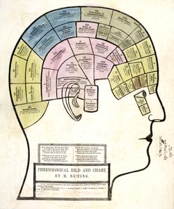 फ्रेनोलॉजिकल हेड एंड चार्ट, पब। 1857 (रंग लिथो) द्वारा अंग्रेजी स्कूल