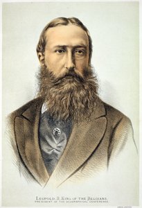 लियोपोल्ड II का पोर्ट्रेट (1835-1909), बेल्जियम का राजा (1865-1909)