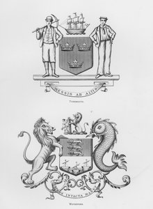 सार्वजनिक हथियार: टाइनमाउथ; वाटरफोर्ड (उत्कीर्णन) द्वारा अंग्रेजी स्कूल