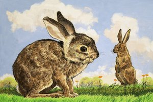 Rabbitis द्वारा अंग्रेजी स्कूल