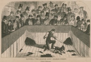  द्वारा अंग्रेजी स्कूल