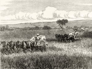 साउथ एडिलेड में छपी, c.1880, हावर्ड विलोबी द्वारा &39;ऑस्ट्रेलियन पिक्चर्स&39; से, धार्मिक ट्रैक्ट सोसायटी, लंदन, 1886 द्वारा प्रकाशित द्वारा अंग्रेजी स्कूल