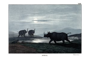  द्वारा अंग्रेजी स्कूल