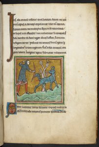 रॉयल 12 F.XIII, f.16 एक शिकारी एक जानवर पर तीर चलाता हुआ। बेस्टियरी (ff. 3-141), लैपिडरी (ff. 141v-149) 13वीं सदी की दूसरी तिमाही द्वारा अंग्रेजी स्कूल