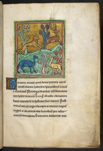 रॉयल 12 F.XIII, f.7 एक तेंदुआ एक हिरण का पीछा कर रहा है, उसके साथ एक ऊंट और एक अन्य जानवर है। बेस्टियरी (ff. 3-141), लैपिडरी (ff. 141v-149) से 13वीं सदी की दूसरी तिमाही द्वारा अंग्रेजी स्कूल
