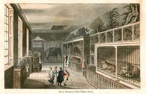  द्वारा अंग्रेजी स्कूल