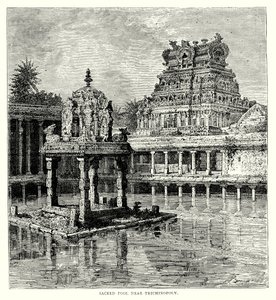  द्वारा अंग्रेजी स्कूल