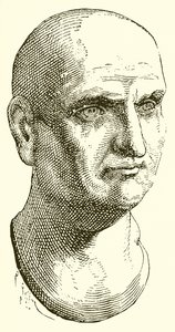 Scipio द्वारा अंग्रेजी स्कूल