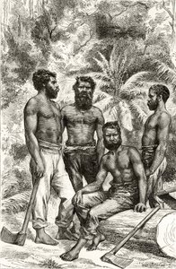 धार्मिक ट्रैक्ट सोसाइटी, लंदन, 1886 द्वारा प्रकाशित हावर्ड विलोबी द्वारा &39;ऑस्ट्रेलियाई पिक्चर्स&39; से अर्ध-सभ्य विक्टोरियन आदिवासी द्वारा अंग्रेजी स्कूल