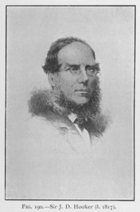 सर जोसेफ डाल्टन हूकर (1817-1911), पोर्ट्रेट (लिथो) द्वारा अंग्रेजी स्कूल