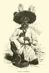सपेरा द्वारा अंग्रेजी स्कूल