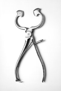 चीनी के nippers, c.1800 (स्टील) द्वारा अंग्रेजी स्कूल