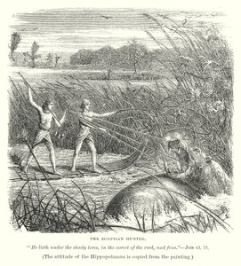  द्वारा अंग्रेजी स्कूल