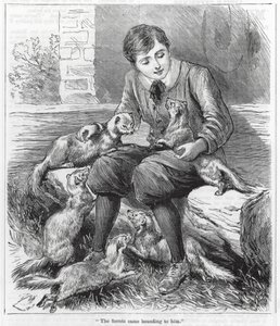  द्वारा अंग्रेजी स्कूल