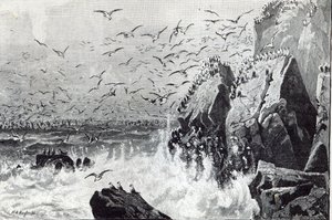 1888 के &39;आराम के घंटे&39; से गुंडों का अड्डा द्वारा अंग्रेजी स्कूल
