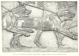  द्वारा अंग्रेजी स्कूल