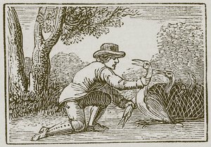  द्वारा अंग्रेजी स्कूल