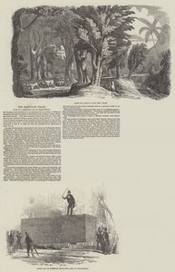 महोगनी व्यापार, Birkenhead पर एक राक्षस लॉग की बिक्री (उत्कीर्णन) द्वारा अंग्रेजी स्कूल