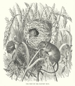  द्वारा अंग्रेजी स्कूल