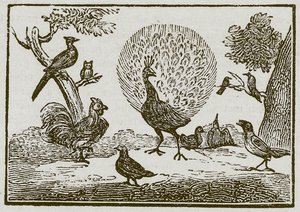  द्वारा अंग्रेजी स्कूल