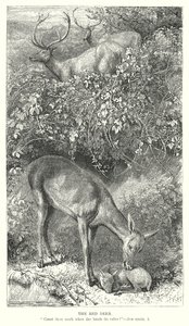  द्वारा अंग्रेजी स्कूल