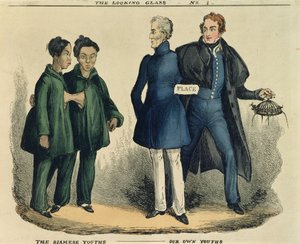 सियामीज़ युथ्स - अवर ओन यूथ्स, द लुकिंग ग्लास से व्यंग्यात्मक कार्टून, c.1829 (रंगीन नक्काशी) द्वारा अंग्रेजी स्कूल