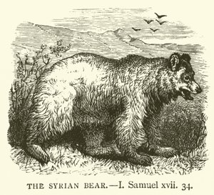 सीरियाई भालू, मैं, शमूएल, xvii, 34 (उत्कीर्णन) द्वारा अंग्रेजी स्कूल
