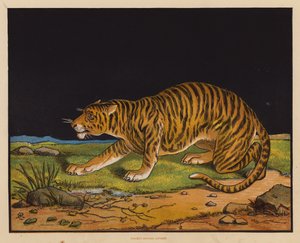 द्वारा अंग्रेजी स्कूल