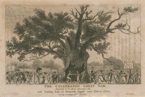 माना जाता है कि महान ओक, 1800 साल से ऊपर का था द्वारा अंग्रेजी स्कूल