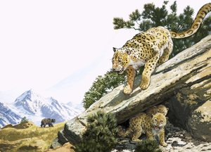  द्वारा अंग्रेजी स्कूल