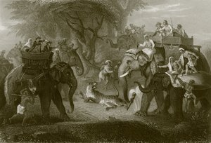 बाघ का शिकार द्वारा अंग्रेजी स्कूल