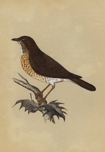  द्वारा अंग्रेजी स्कूल