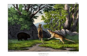  द्वारा अंग्रेजी स्कूल