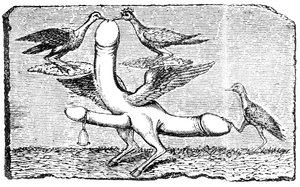 एक पंख, पैर और एक बकरी के पैर के साथ ट्रिपल phallus, एक घंटी, पंख, दो पक्षी सबसे बड़ा लिंग और एक अन्य पक्षी उसके पैर के साथ पूंछ पकड़े हुए द्वारा अंग्रेजी स्कूल