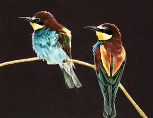 पक्षियों की अज्ञात जोड़ी द्वारा अंग्रेजी स्कूल