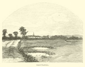 Whittlesea द्वारा अंग्रेजी स्कूल