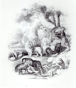 ऑलिवर गोल्डस्मिथ, लंदन, 1840 द्वारा &39;ए हिस्ट्री ऑफ़ द अर्थ एंड एनिमेटेड नेचर&39; से जंगली जानवर द्वारा अंग्रेजी स्कूल