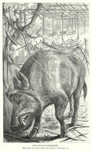  द्वारा अंग्रेजी स्कूल