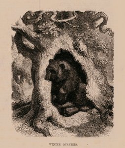  द्वारा अंग्रेजी स्कूल