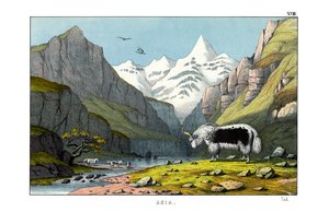  द्वारा अंग्रेजी स्कूल