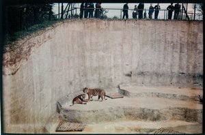  द्वारा एरिक मेबैंक