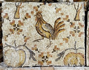  द्वारा एरिच लेसिंग