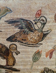  द्वारा एरिच लेसिंग