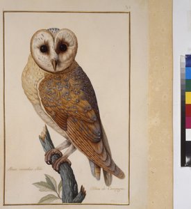  द्वारा एरिच लेसिंग