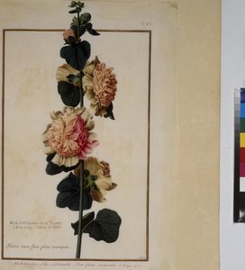  द्वारा एरिच लेसिंग